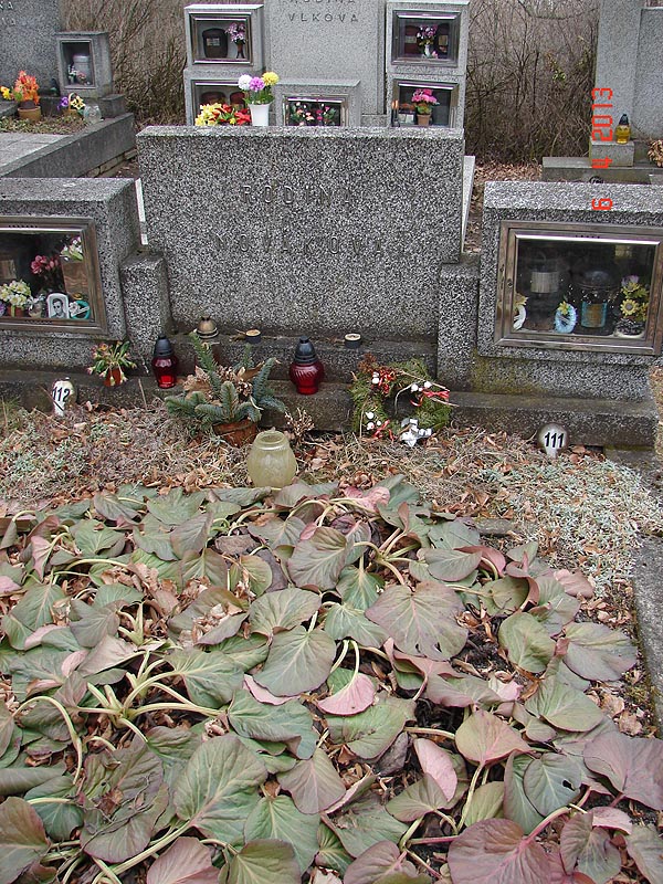 České hřbitovy