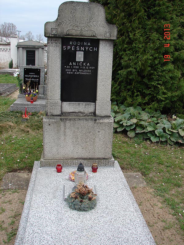 České hřbitovy