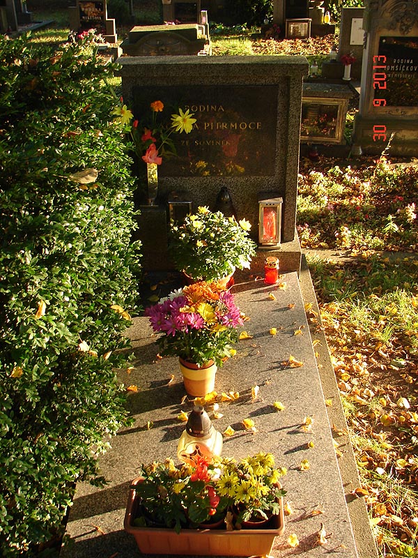 České hřbitovy