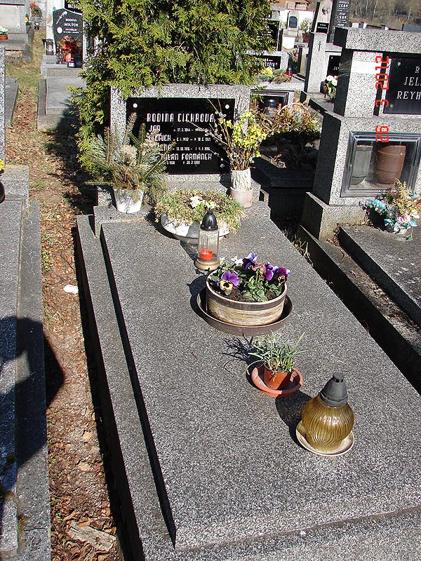České hřbitovy