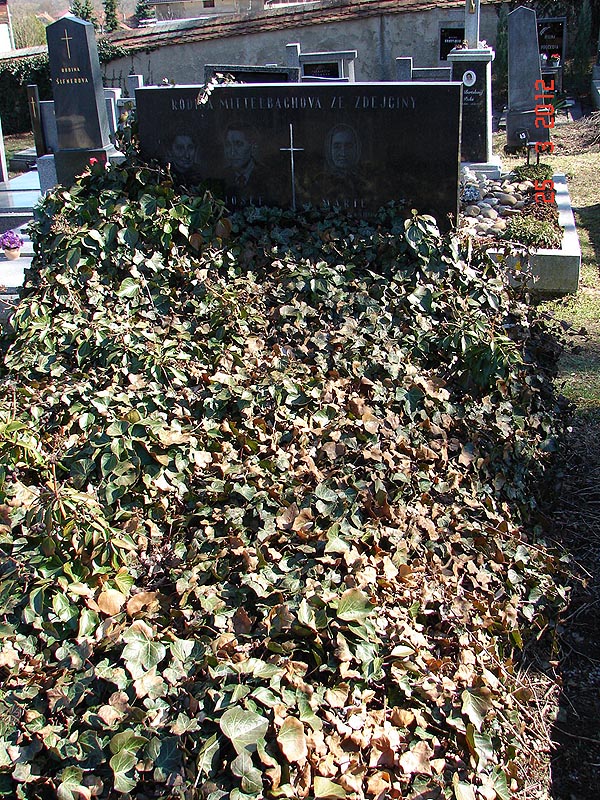 České hřbitovy