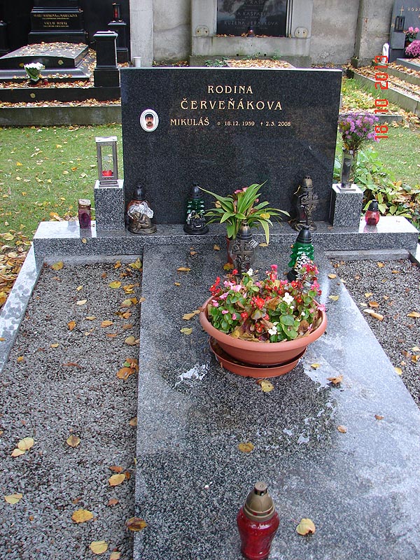 České hřbitovy