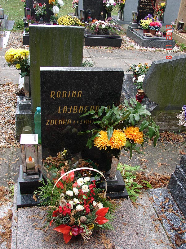 České hřbitovy