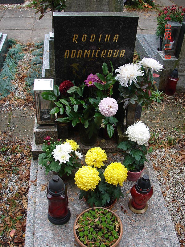 České hřbitovy