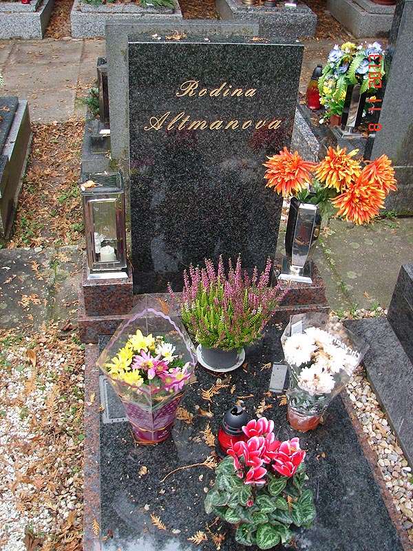 České hřbitovy