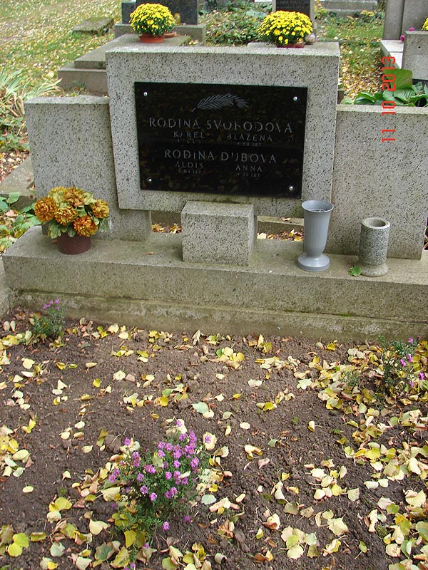 České hřbitovy