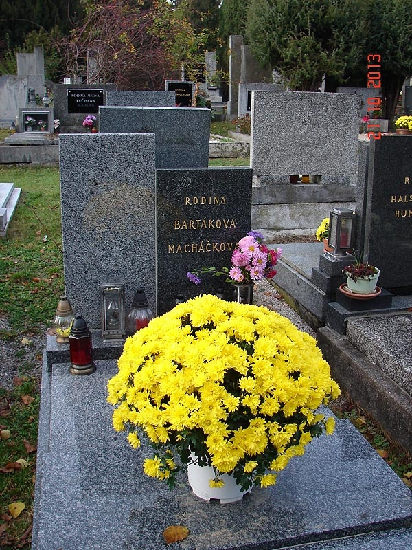 České hřbitovy