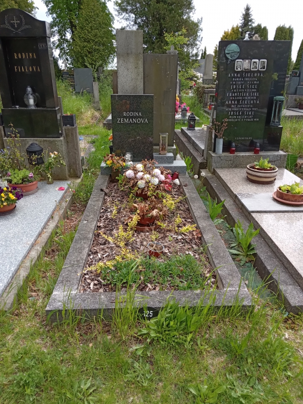České hřbitovy