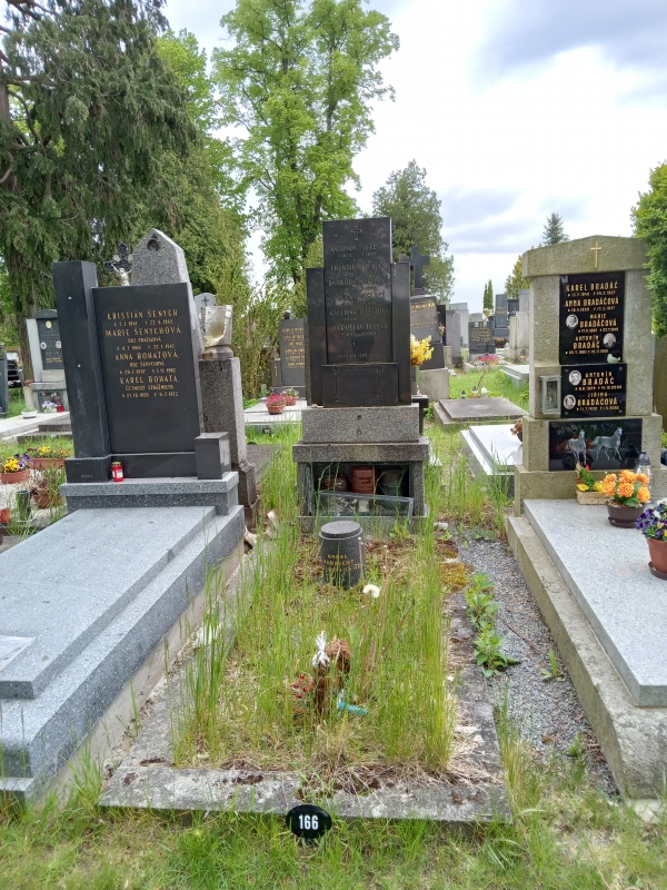 České hřbitovy