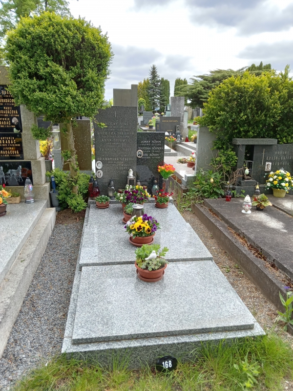 České hřbitovy