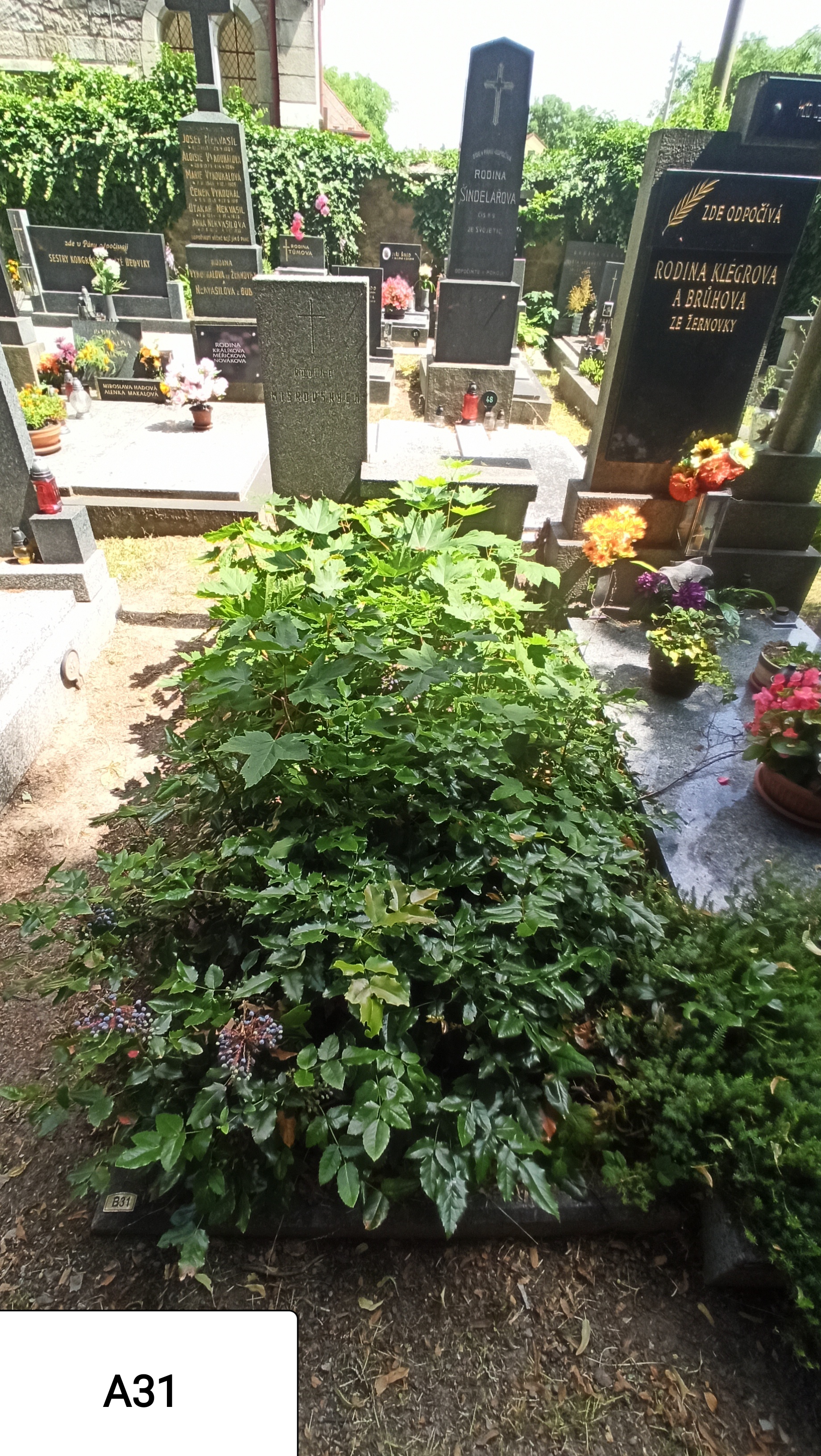 České hřbitovy