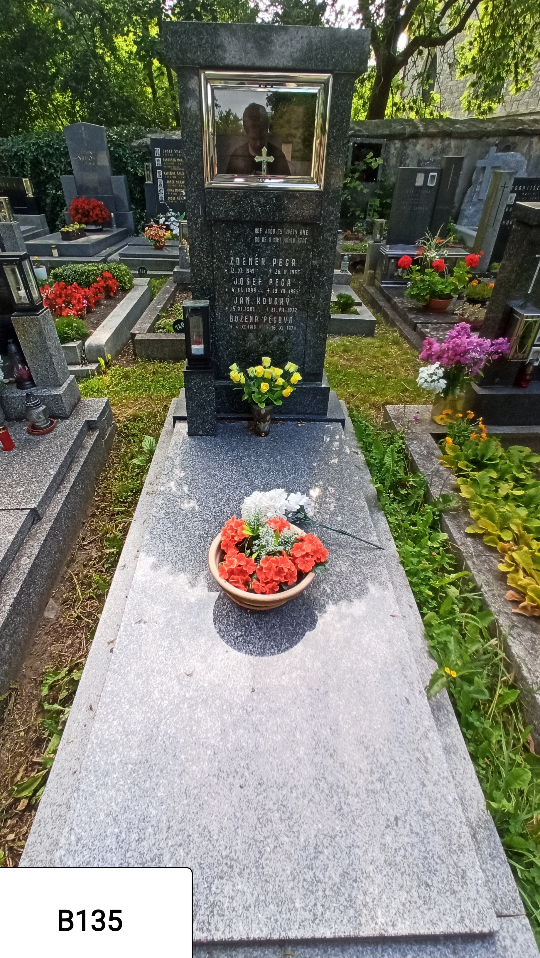 České hřbitovy