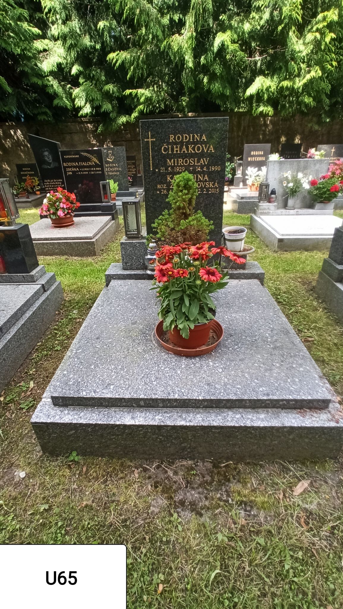 České hřbitovy