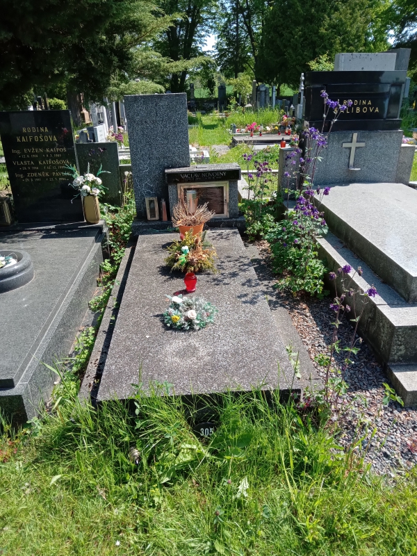 České hřbitovy