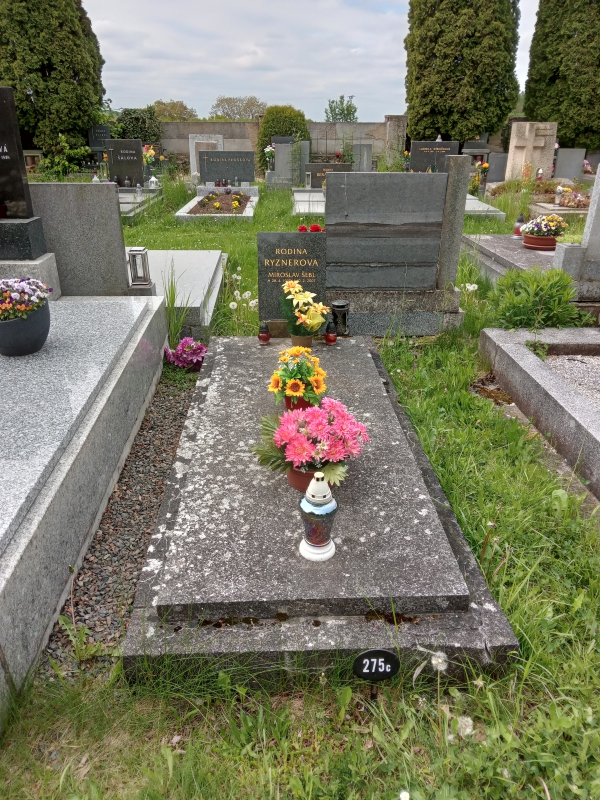 České hřbitovy