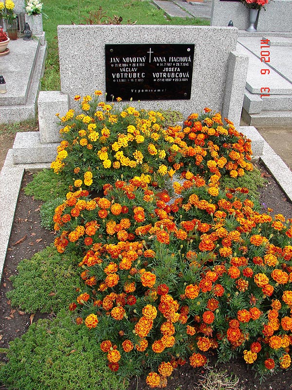 České hřbitovy