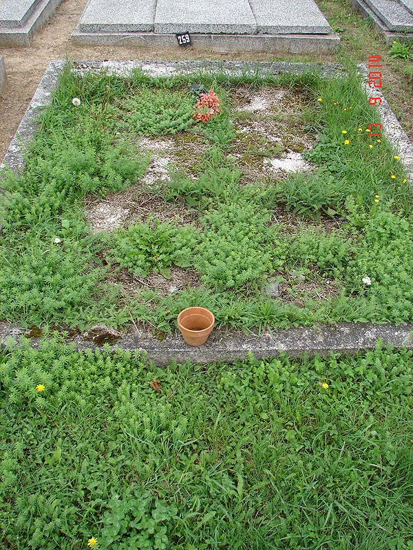 České hřbitovy