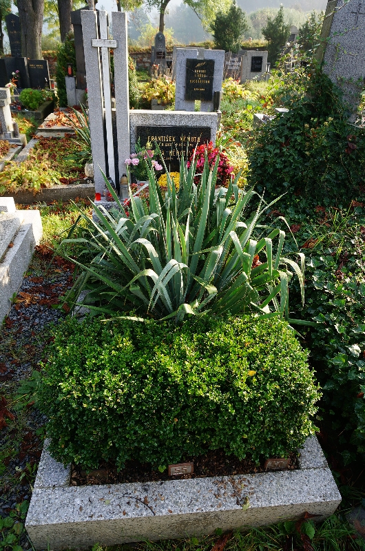 České hřbitovy