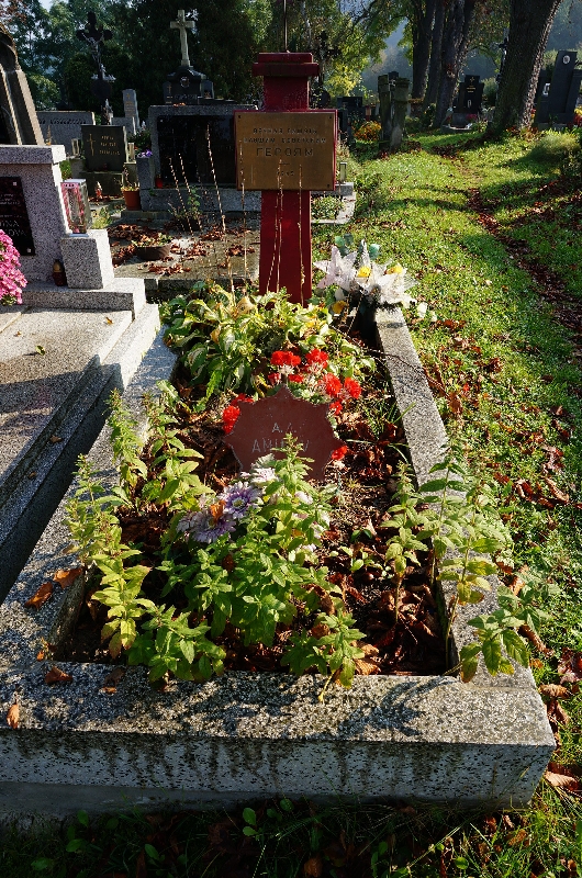 České hřbitovy