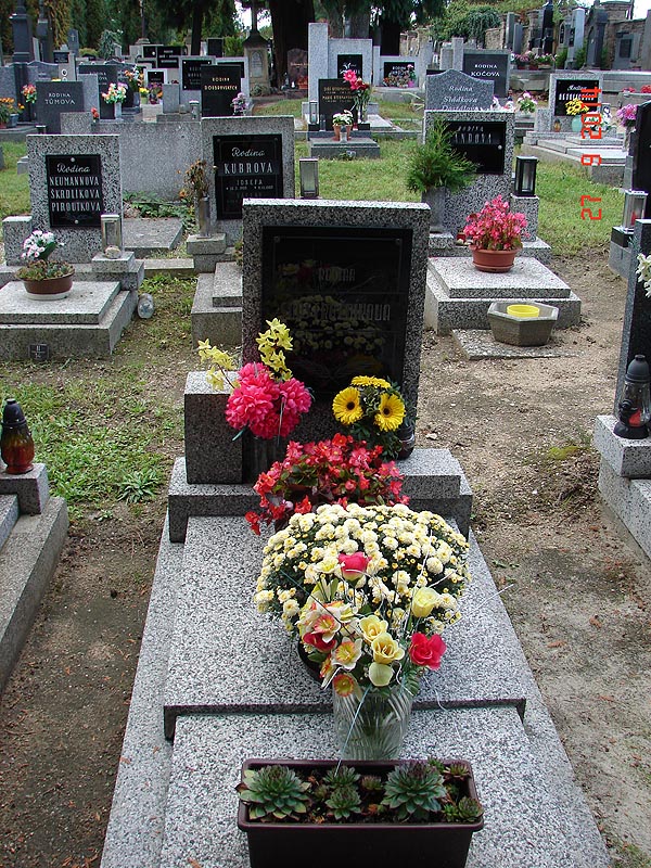 České hřbitovy