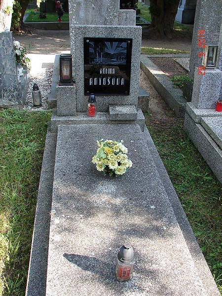 České hřbitovy