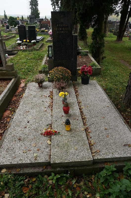 České hřbitovy