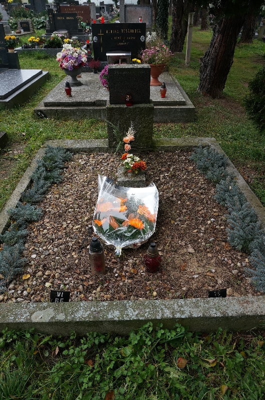 České hřbitovy