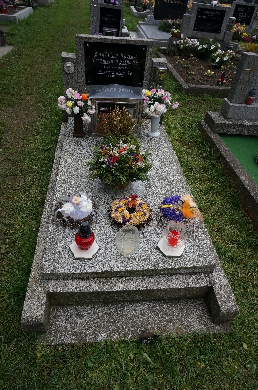 České hřbitovy