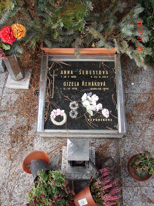 České hřbitovy