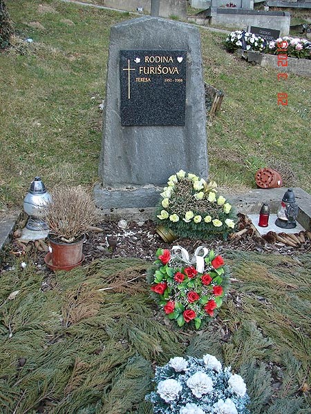 České hřbitovy