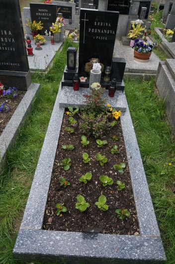České hřbitovy