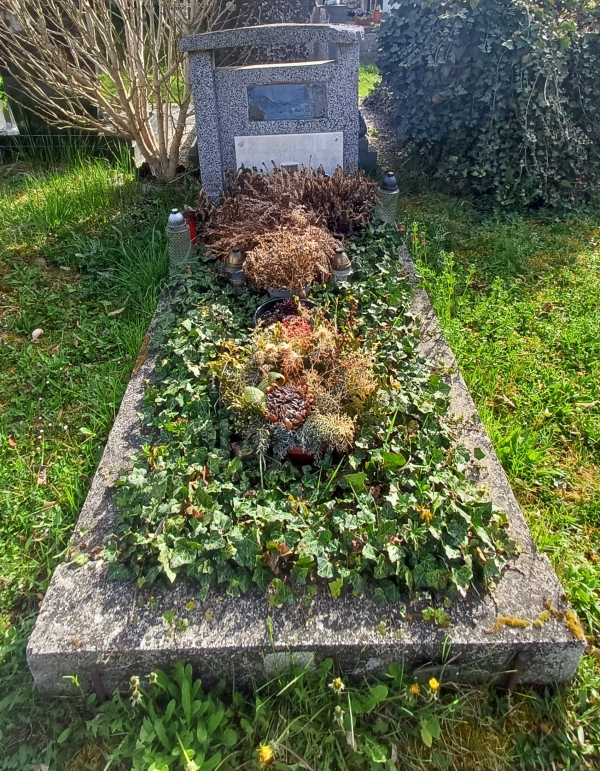 České hřbitovy