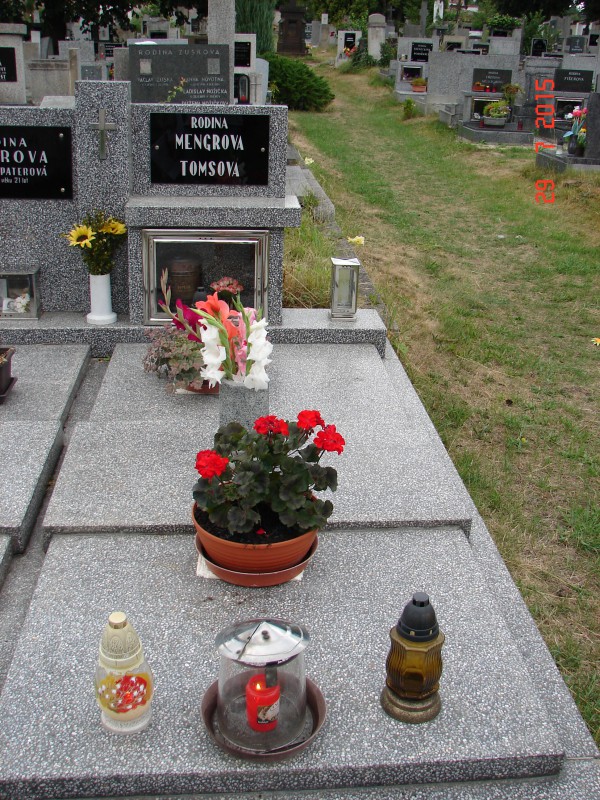 České hřbitovy