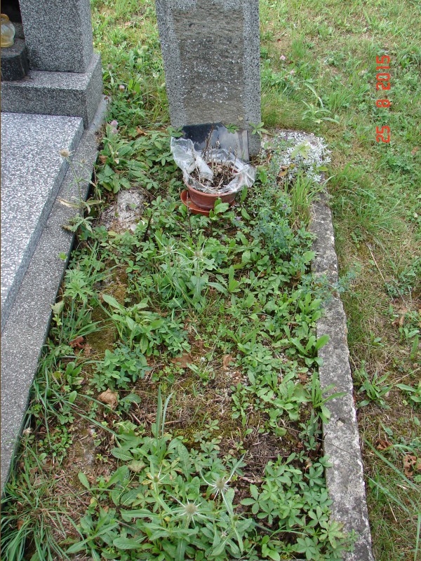 České hřbitovy