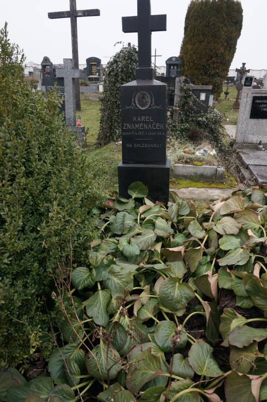 České hřbitovy