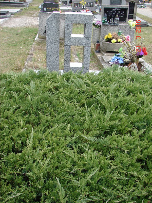 České hřbitovy