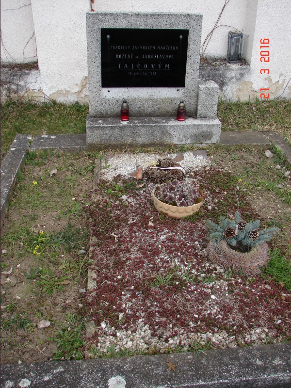 České hřbitovy