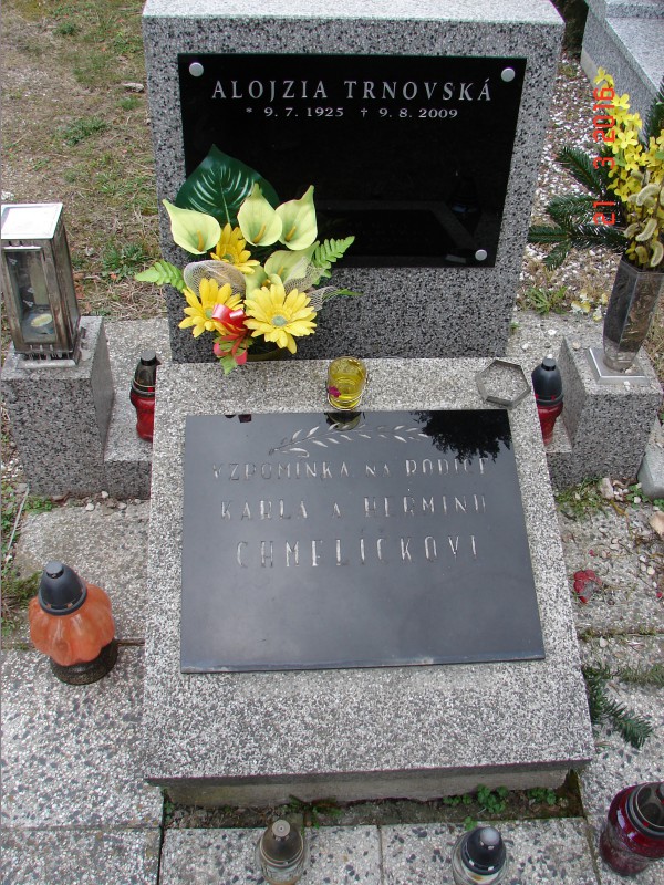 České hřbitovy