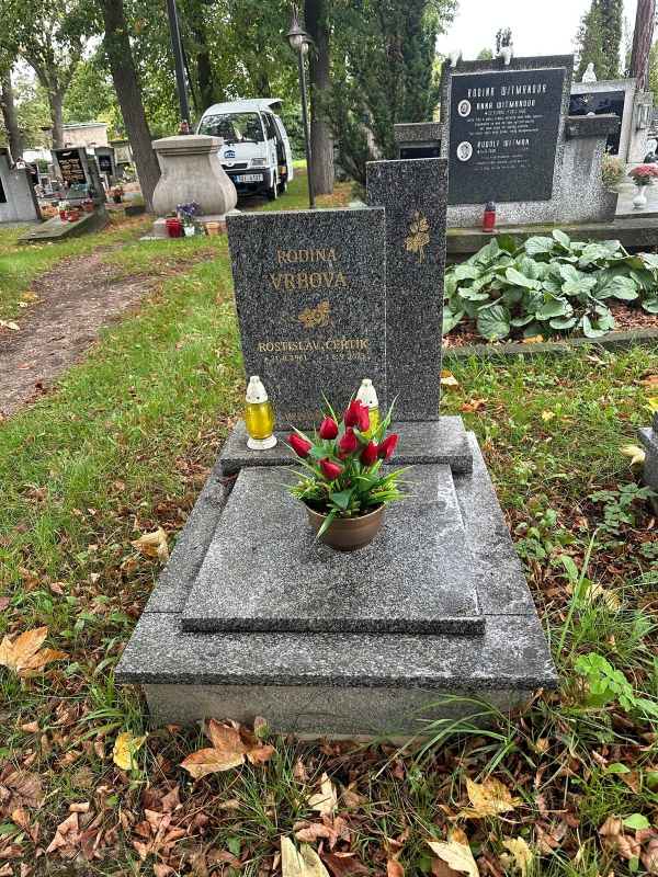 České hřbitovy