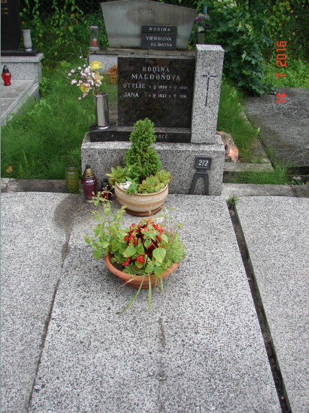 České hřbitovy