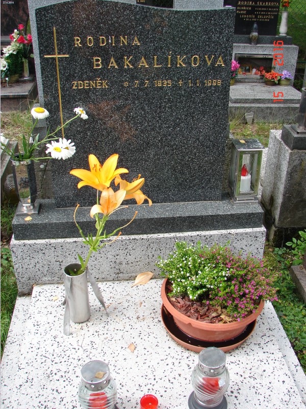 České hřbitovy