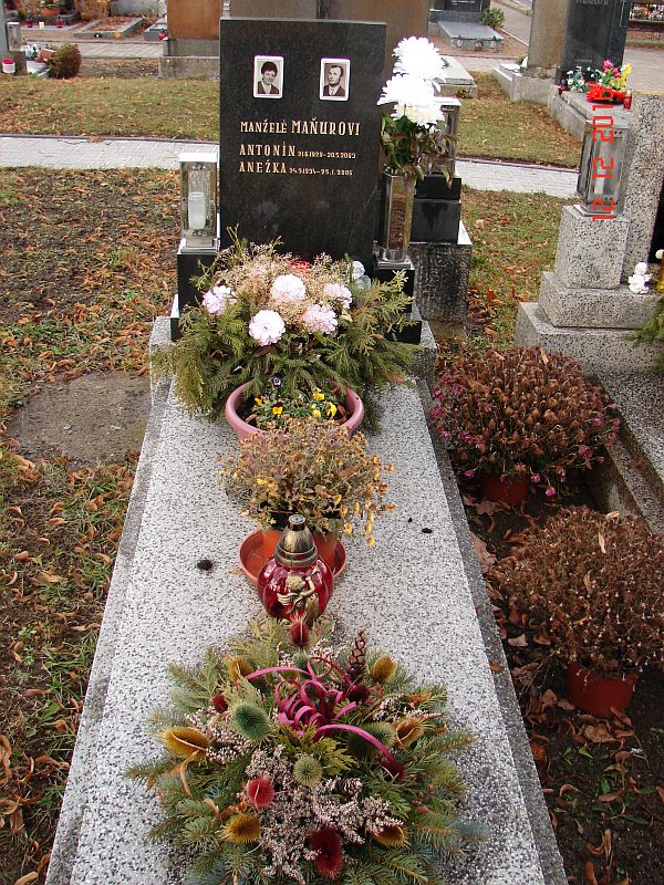 České hřbitovy