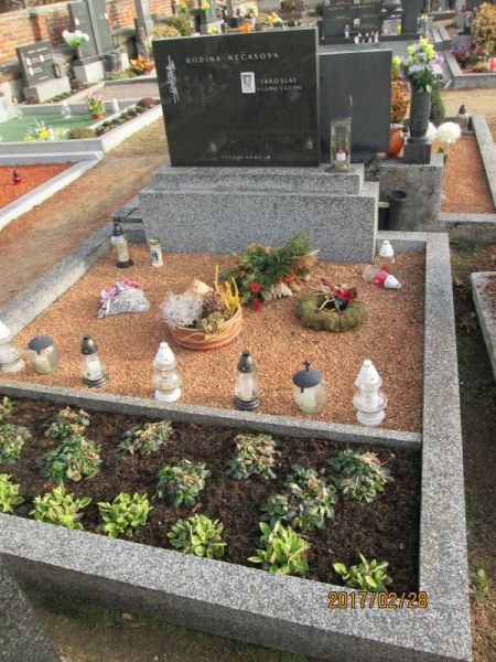 České hřbitovy