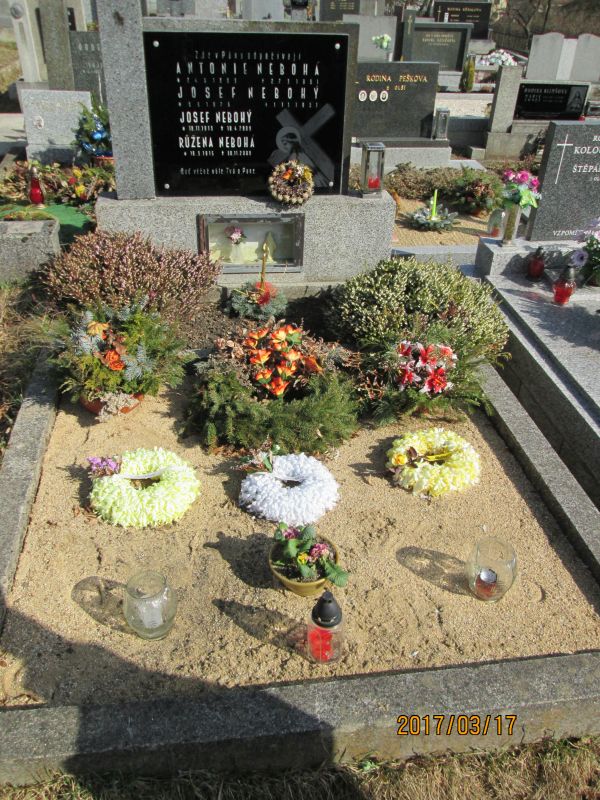 České hřbitovy