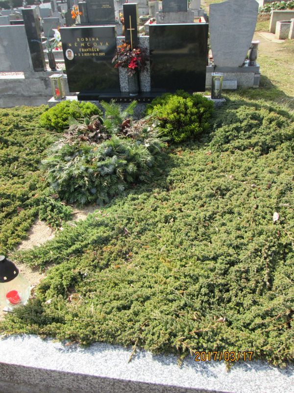 České hřbitovy