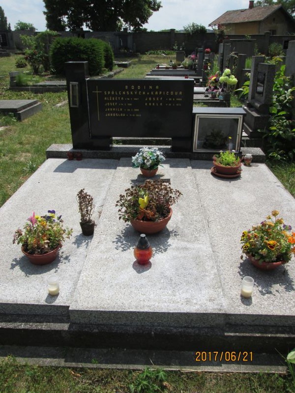 České hřbitovy