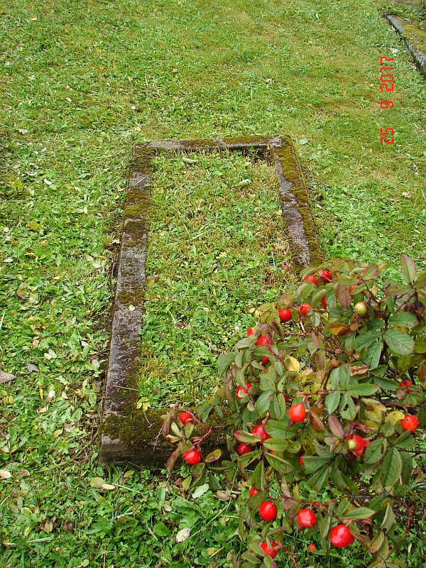 České hřbitovy