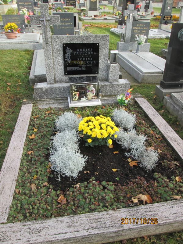 České hřbitovy