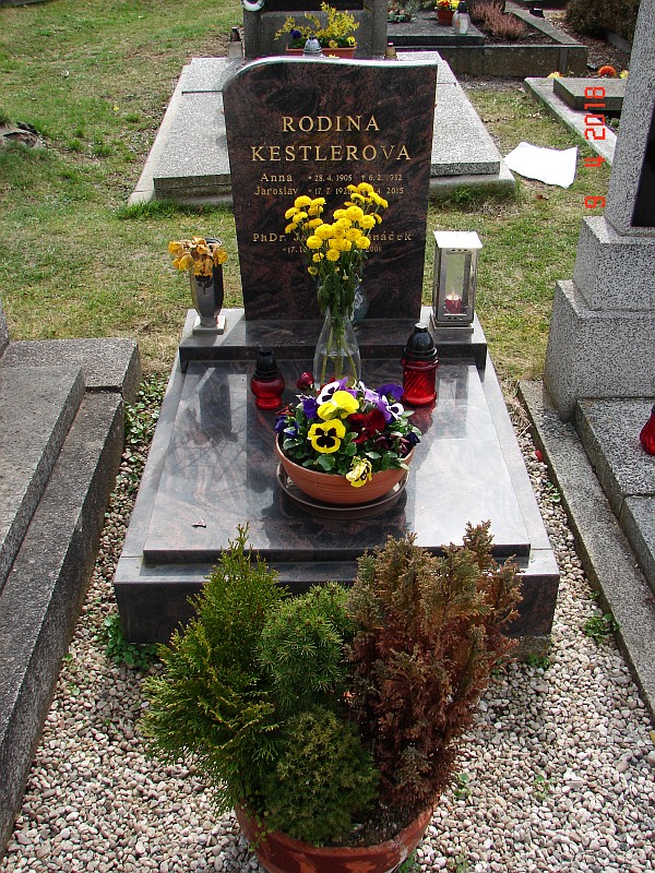 České hřbitovy