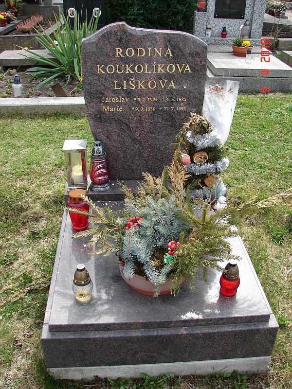 České hřbitovy